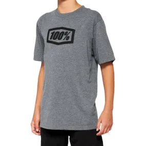 100% Youth Icon T-Shirt - Heather Gray