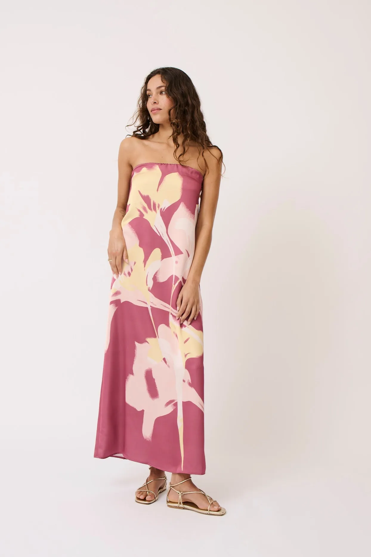 Amelia Dress - Dessert Floral