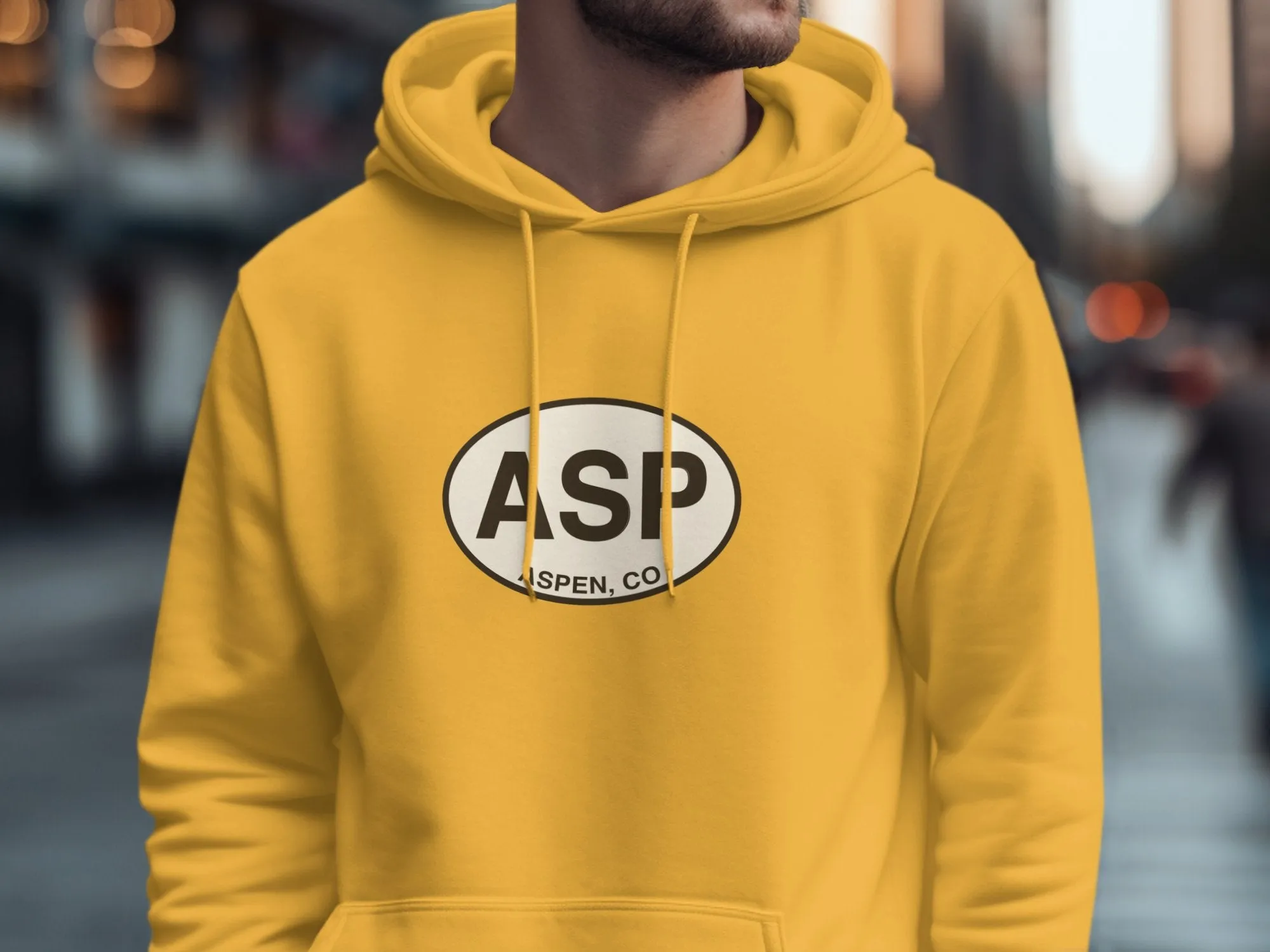 Aspen Mens Hoodie - Cozy Mountain Gear for Colorado Adventures