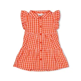 BERRY NICE Organic Cotton Woven Seersucker & Voile Checkered Dress