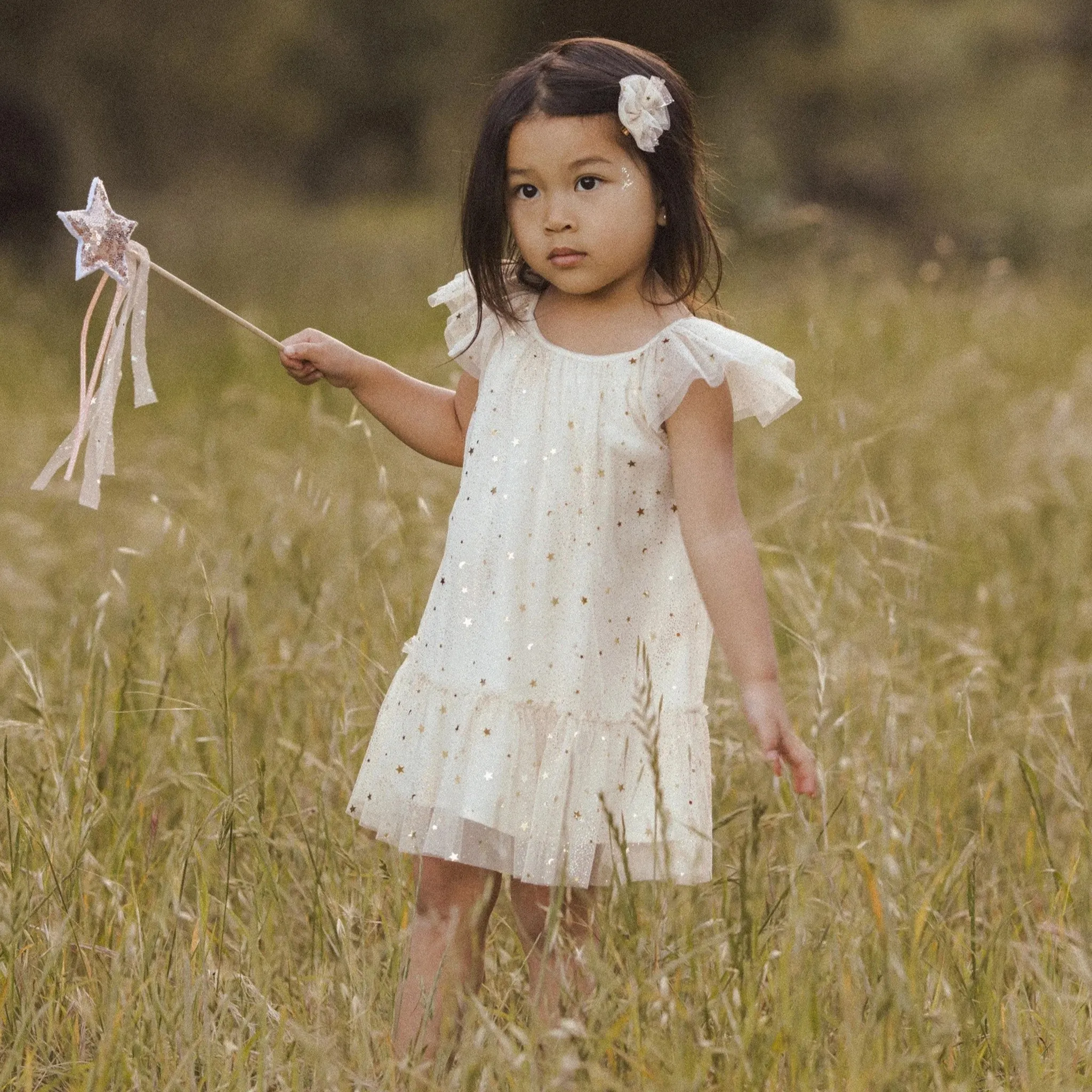 NORALEE - Edie Dress | Champagne Stars