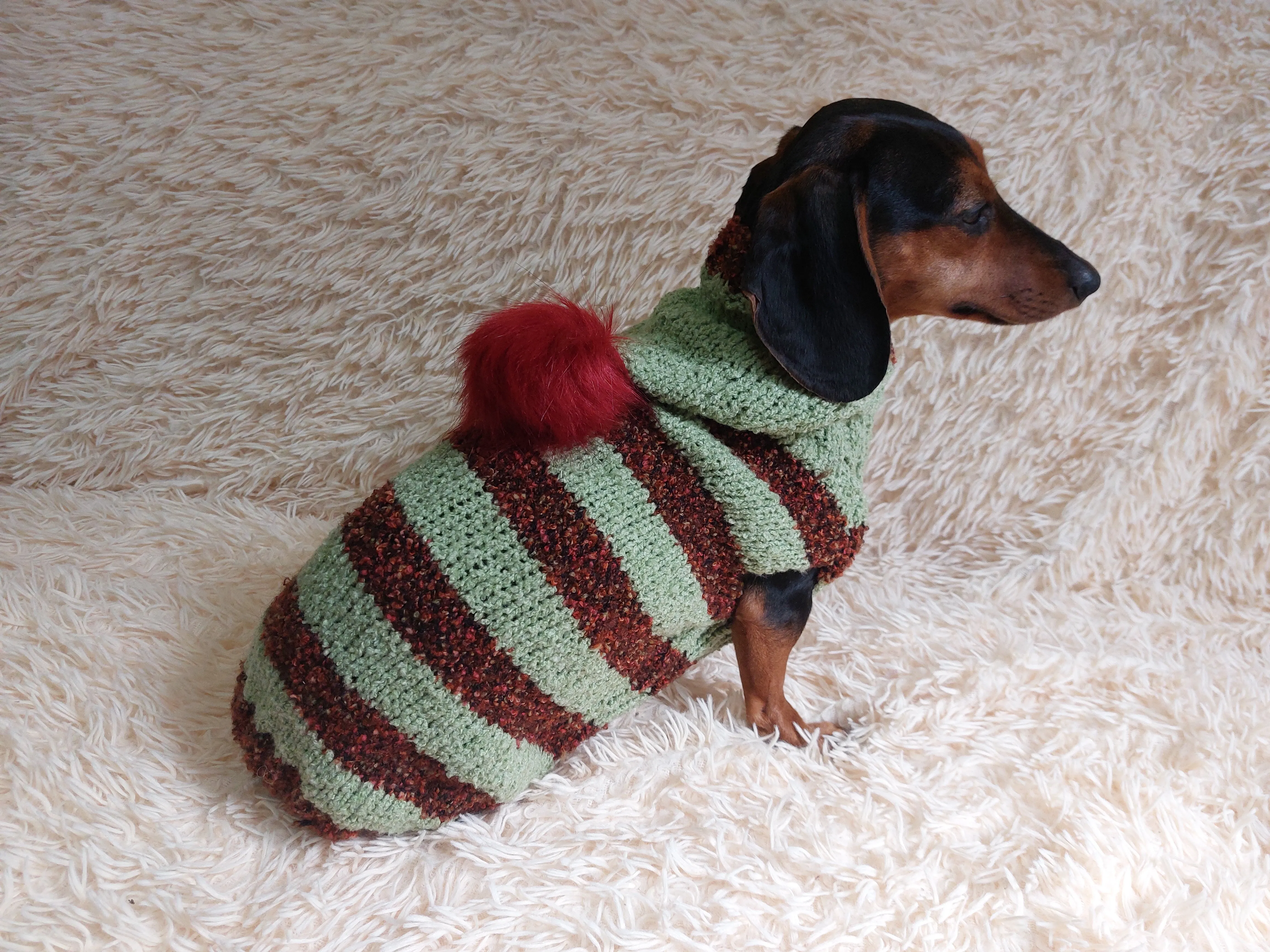 Plush pet hoodie,dog hoodie clothes,warm winter clothes hoodie for dachshund