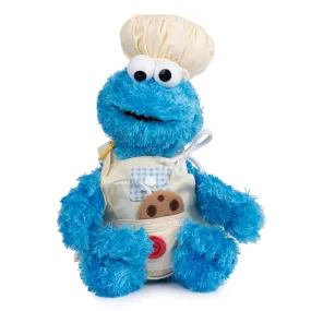 Teach Me Cookie Monster, 15in