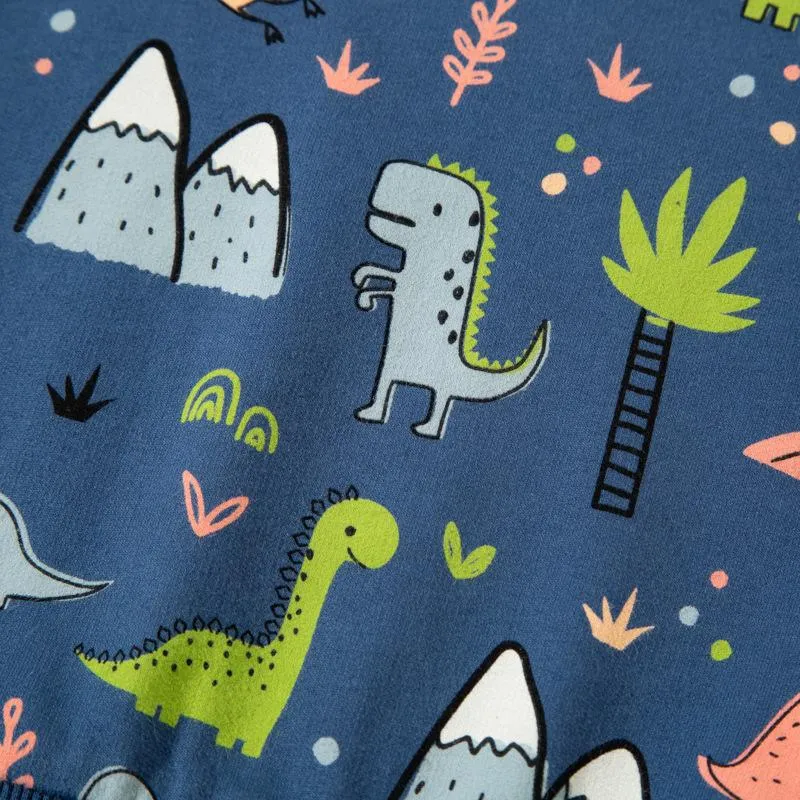 Toddler Boy's Blue Cartoon Dinosaur Print Sweatshirt